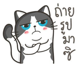 Cat Named FullMoon sticker #15830506