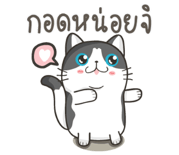 Cat Named FullMoon sticker #15830507