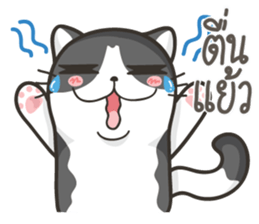 Cat Named FullMoon sticker #15830521