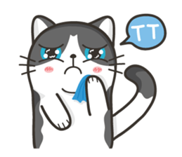 Cat Named FullMoon sticker #15830529