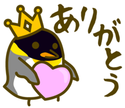 King penguin everyday basic set sticker #15831174