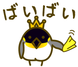 King penguin everyday basic set sticker #15831189