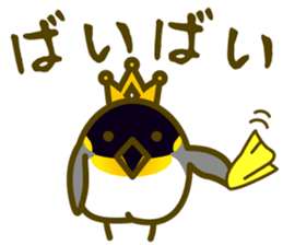 King penguin everyday basic set sticker #15831189