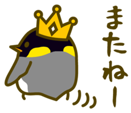 King penguin everyday basic set sticker #15831190