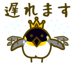 King penguin everyday basic set sticker #15831205