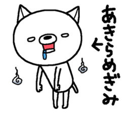 Escape cat6 sticker #15831574