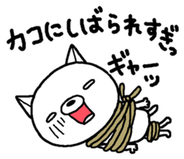 Escape cat6 sticker #15831579