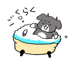 Rin is a chihuahua sticker #15833362