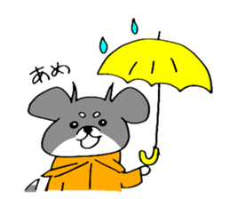 Rin is a chihuahua sticker #15833364