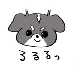 Rin is a chihuahua sticker #15833366