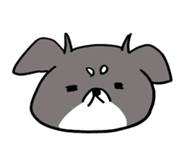 Rin is a chihuahua sticker #15833367