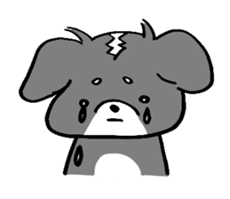 Rin is a chihuahua sticker #15833369