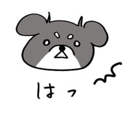 Rin is a chihuahua sticker #15833370