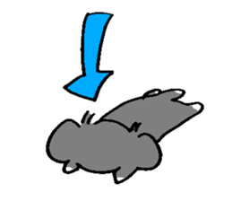 Rin is a chihuahua sticker #15833383