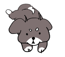 Rin is a chihuahua sticker #15833386