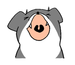 Rin is a chihuahua sticker #15833390