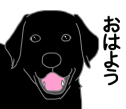 POLA the Black Labrador Retriever! sticker #15833498