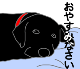 POLA the Black Labrador Retriever! sticker #15833499