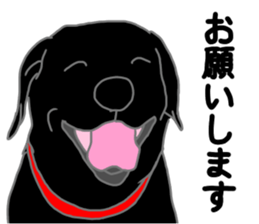 POLA the Black Labrador Retriever! sticker #15833502