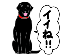 POLA the Black Labrador Retriever! sticker #15833504