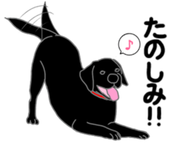 POLA the Black Labrador Retriever! sticker #15833505