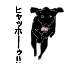 POLA the Black Labrador Retriever! sticker #15833506