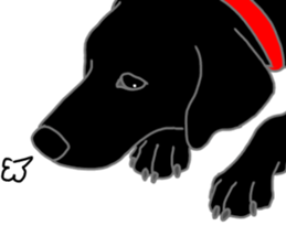 POLA the Black Labrador Retriever! sticker #15833508