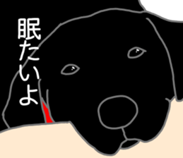 POLA the Black Labrador Retriever! sticker #15833510