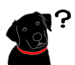 POLA the Black Labrador Retriever! sticker #15833512