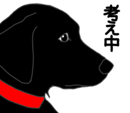 POLA the Black Labrador Retriever! sticker #15833513