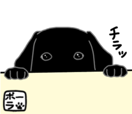 POLA the Black Labrador Retriever! sticker #15833514