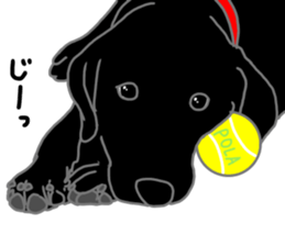 POLA the Black Labrador Retriever! sticker #15833515