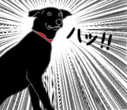 POLA the Black Labrador Retriever! sticker #15833517