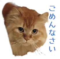 Cats Sticker8 sticker #15834804