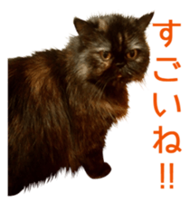 Cats Sticker8 sticker #15834807