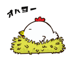 Fat chicken J sticker #15836453