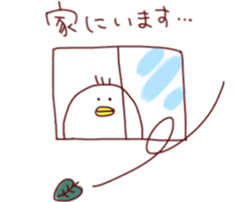 Various ducks1 sticker #15836735