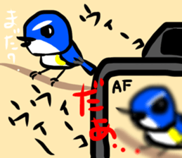 Rolling Acorn:BirdWatching sticker #15838229