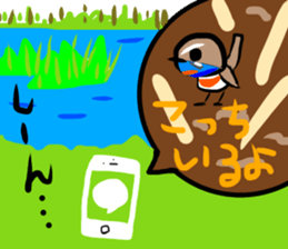Rolling Acorn:BirdWatching sticker #15838232