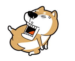 funny shiba inu sticker #15838499