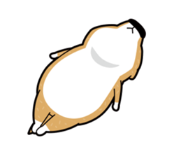 funny shiba inu sticker #15838504