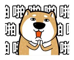 funny shiba inu sticker #15838506