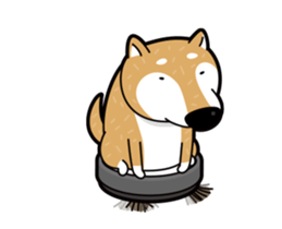 funny shiba inu sticker #15838512