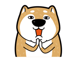 funny shiba inu sticker #15838513