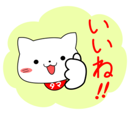 my pacey white cat "TAMA"ver.2 sticker #15838716