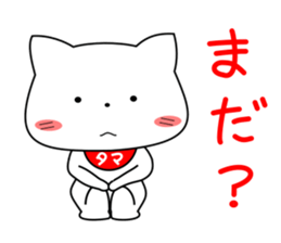 my pacey white cat "TAMA"ver.2 sticker #15838731