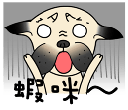 KUMA the Pug: Life sticker #15838752