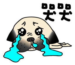 KUMA the Pug: Life sticker #15838759