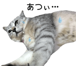 Home Guardinyan sticker #15839107