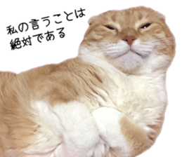 Home Guardinyan sticker #15839108